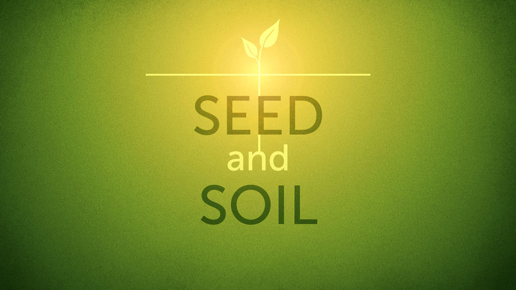 Seed And Soil (Audio)
